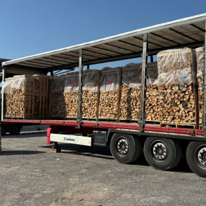 Komplett-LKW Hainbuche 30/33 cm – 48 RM – H1 G1